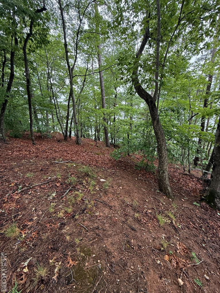 0 Edwards Ridge Rd. Property Photo 17