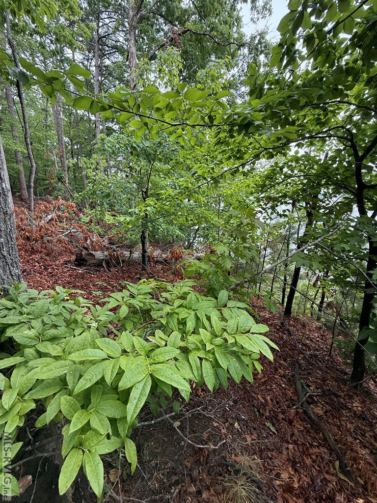 0 Edwards Ridge Rd. Property Photo 19