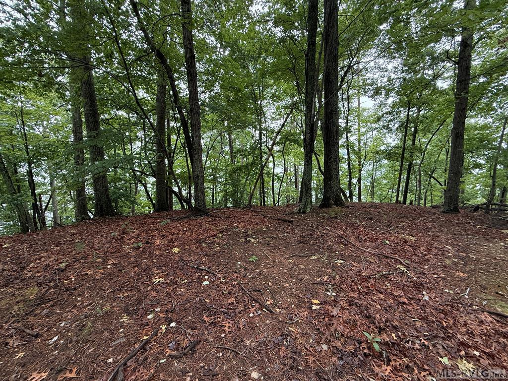 0 Edwards Ridge Rd. Property Photo 24