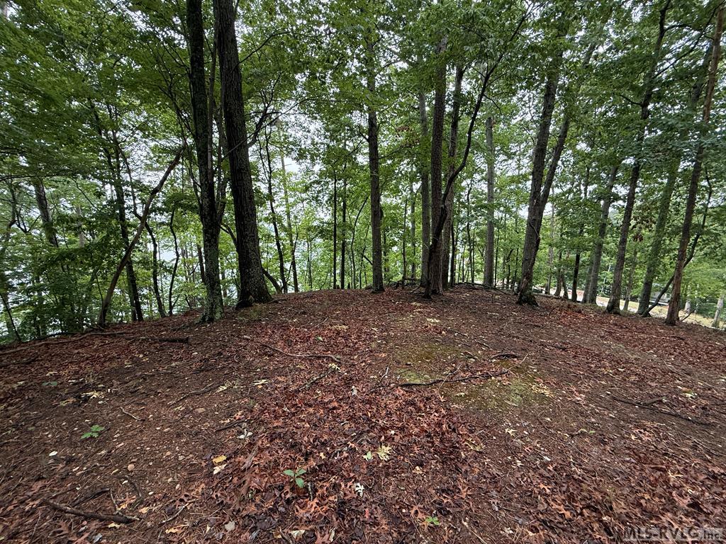 0 Edwards Ridge Rd. Property Photo 25