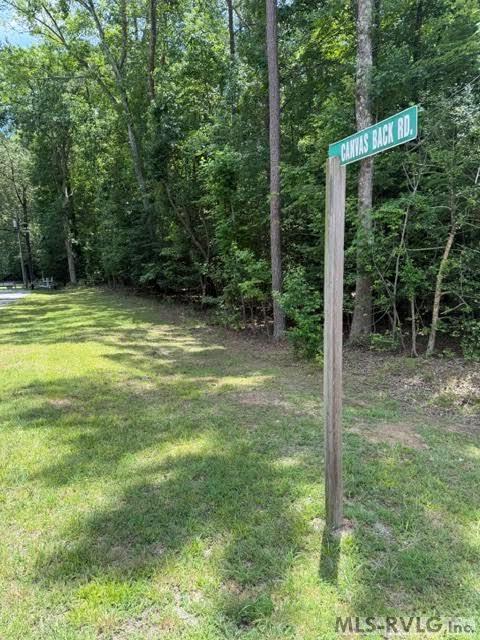 000 Canvas Back Ct. Property Photo 1