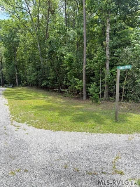 000 Canvas Back Ct. Property Photo 2