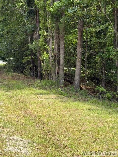 000 Canvas Back Ct. Property Photo 10