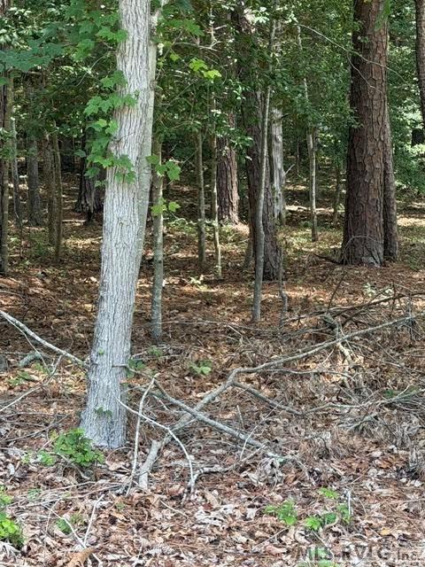 000 Canvas Back Ct. Property Photo 14