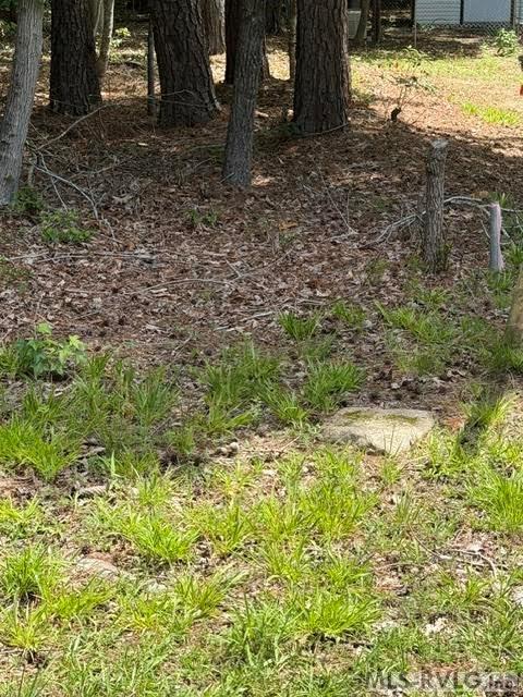 000 Canvas Back Ct. Property Photo 16