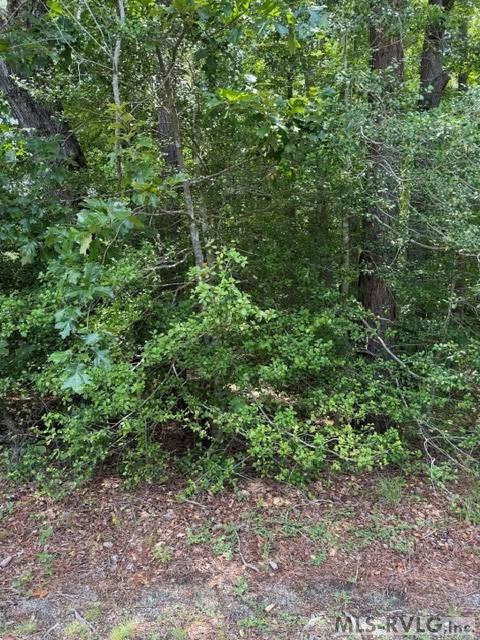 000 Canvas Back Ct. Property Photo 19