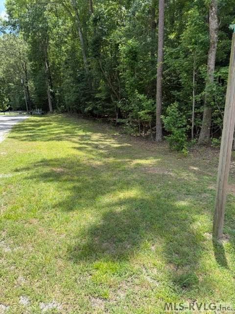 000 Canvas Back Ct. Property Photo 21