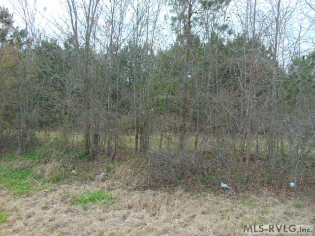 3.92 Ac. Hwy 301 Property Photo 1