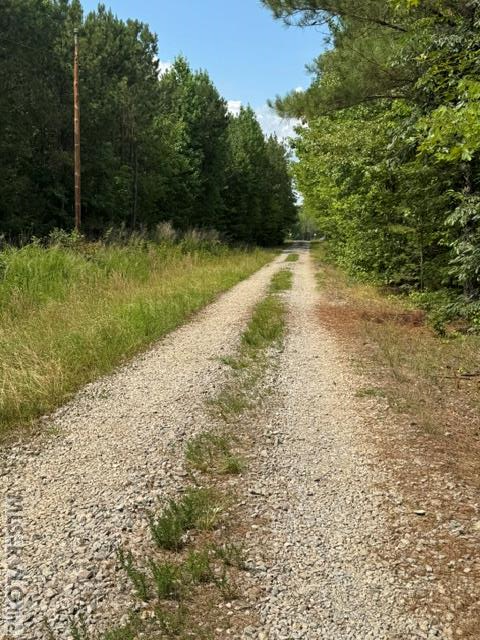 0 Go Cart Road Property Photo 1