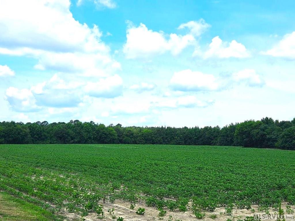 00 Highway 125 Property Photo 5