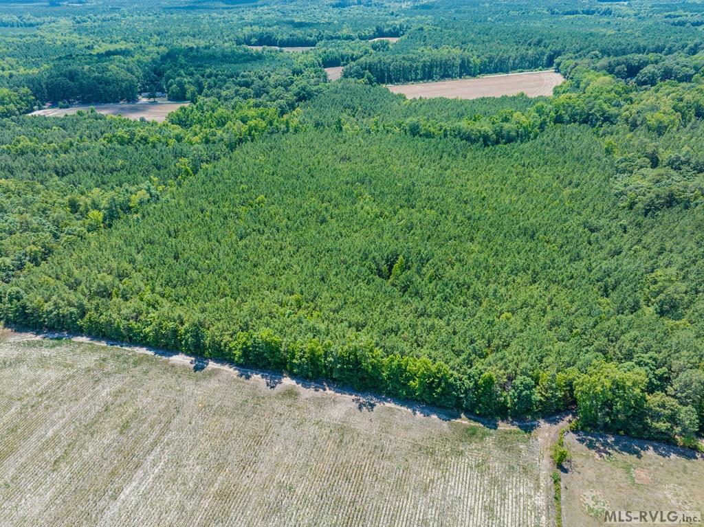 27 Justice Branch Road Property Photo 16