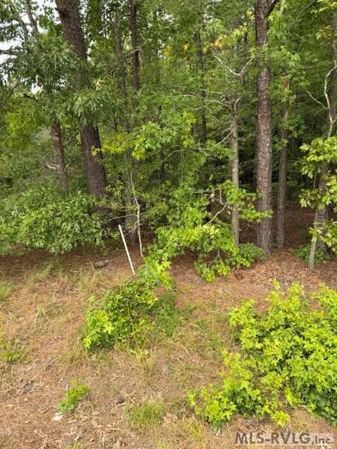 000 Christanna Hwy Property Photo 6