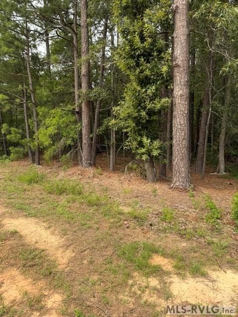 000 Christanna Hwy Property Photo 10