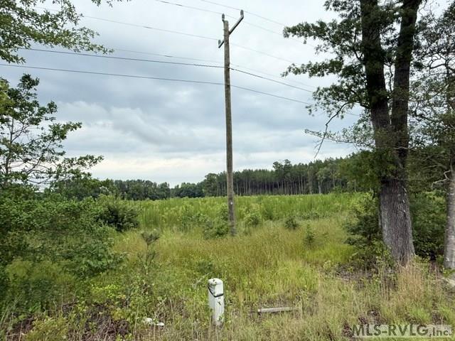 0 Sussex Dr & Longevity Rd Property Photo 4