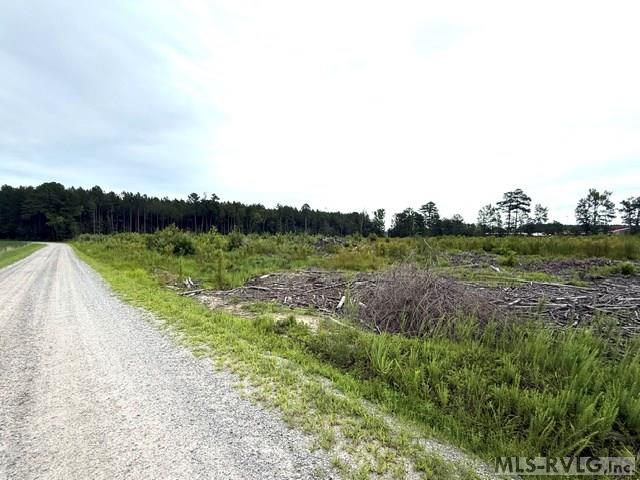 0 Sussex Dr & Longevity Rd Property Photo 9