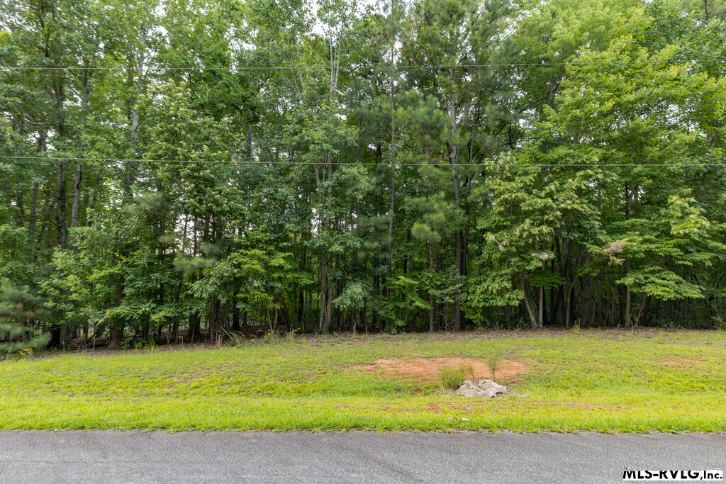 0 Lookout Point Drive Property Photo 2