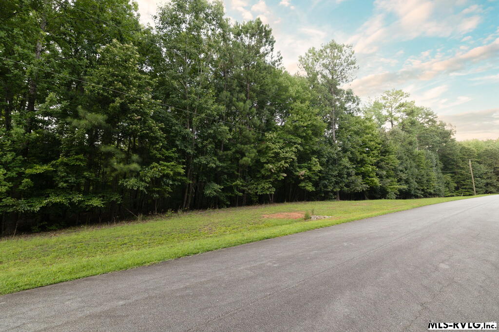 0 Lookout Point Drive Property Photo 3