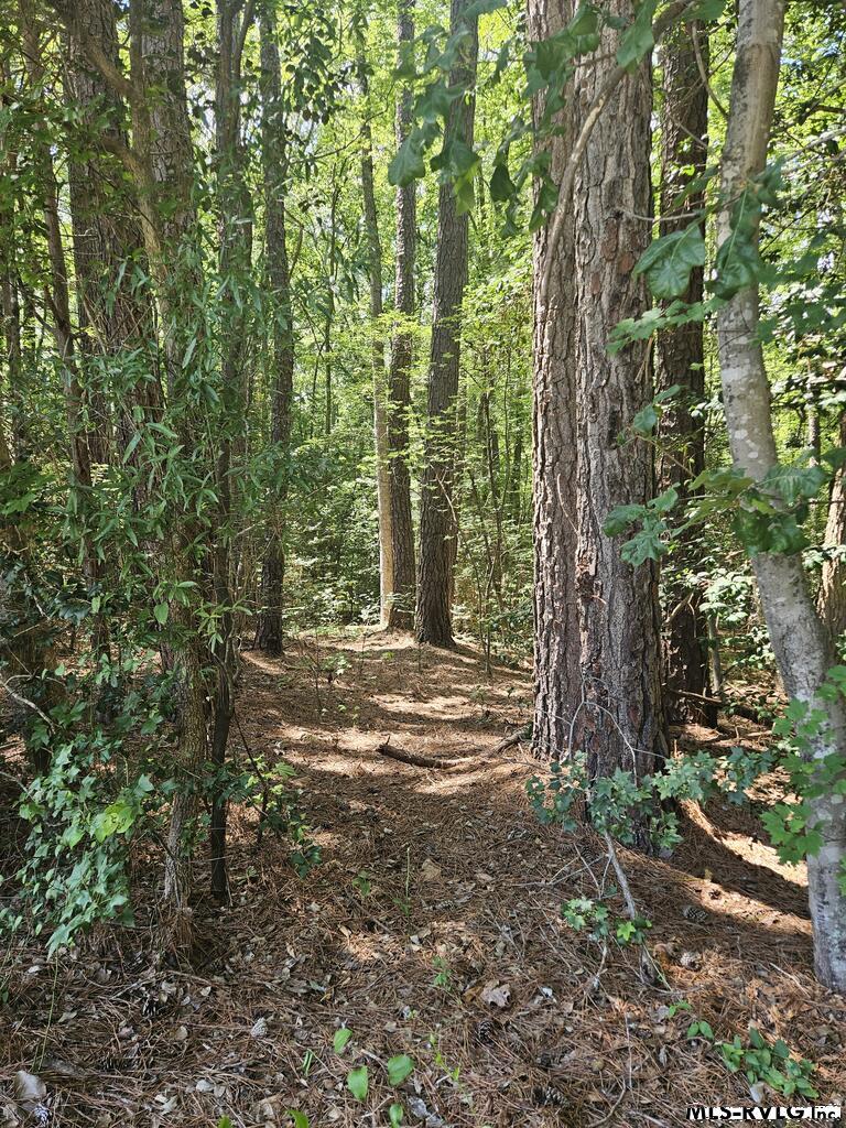 00 Poplar Drive Property Photo 1