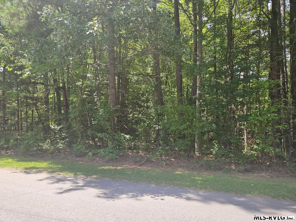 00 Poplar Drive Property Photo 3