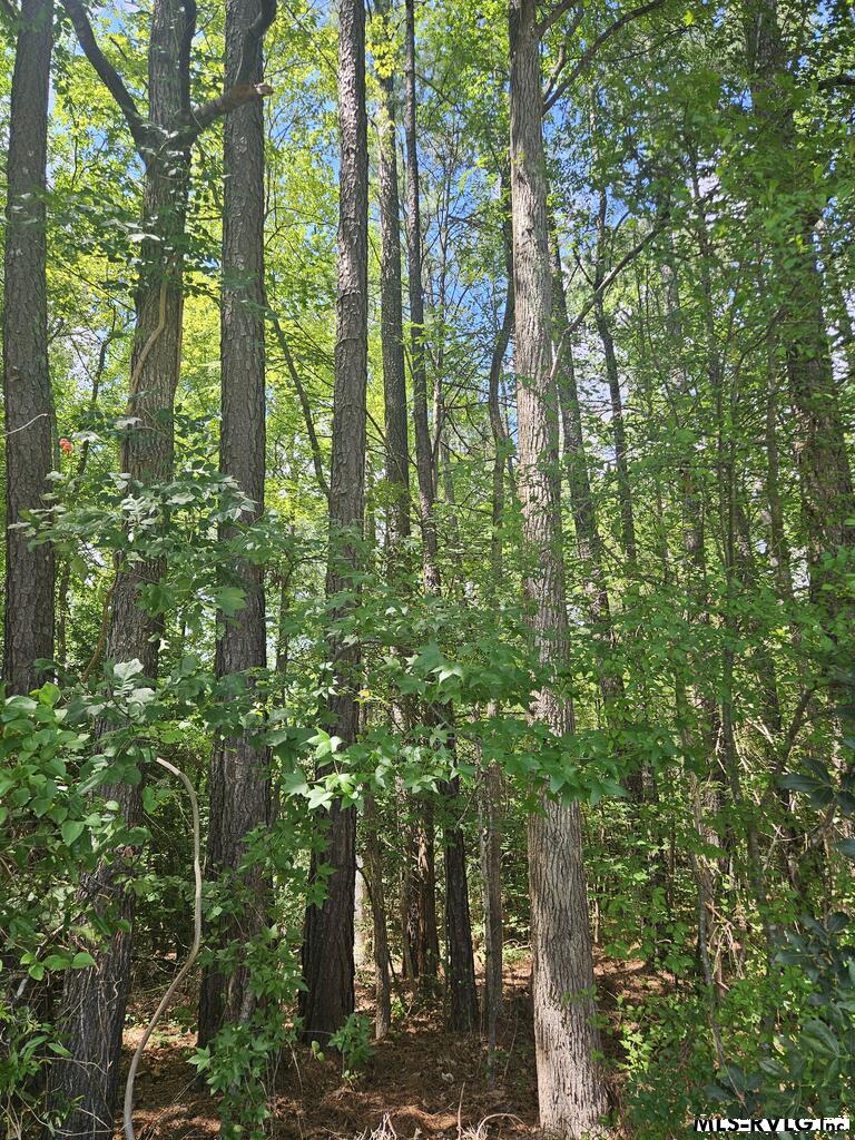 00 Poplar Drive Property Photo 4