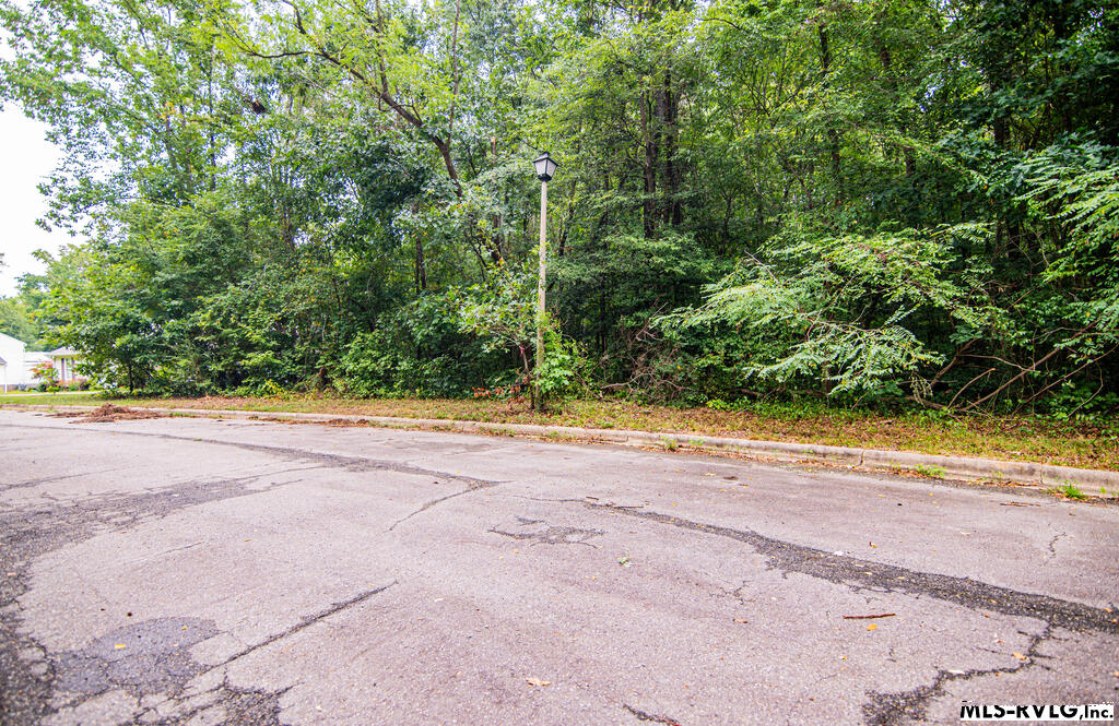 Lot # 13 Downs Brook Dr Property Photo 2