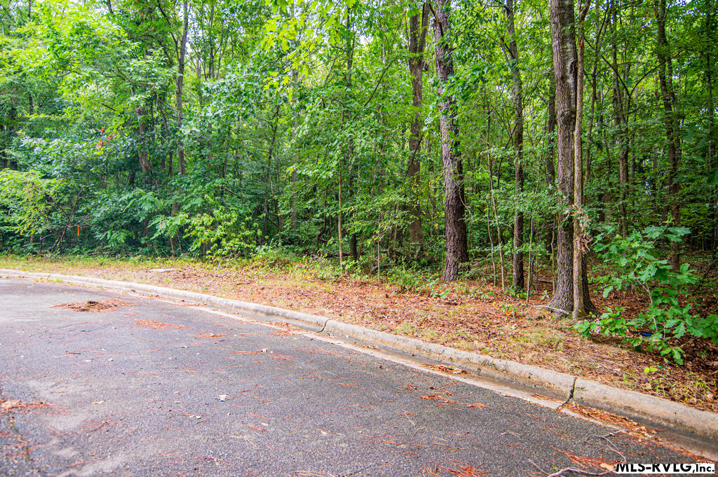 Lot # 13 Downs Brook Dr Property Photo 3