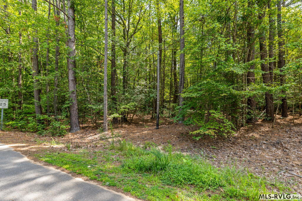 0 Pasture Gate Road Property Photo 4