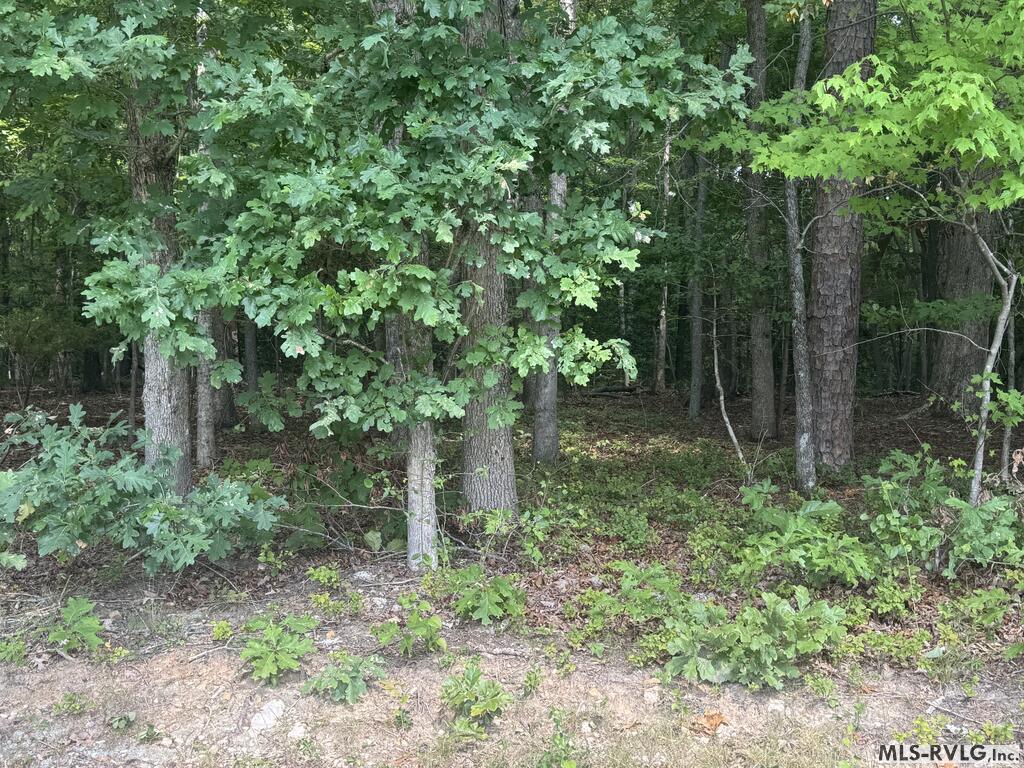 Lot 1d Mill Creek Road Property Photo 11