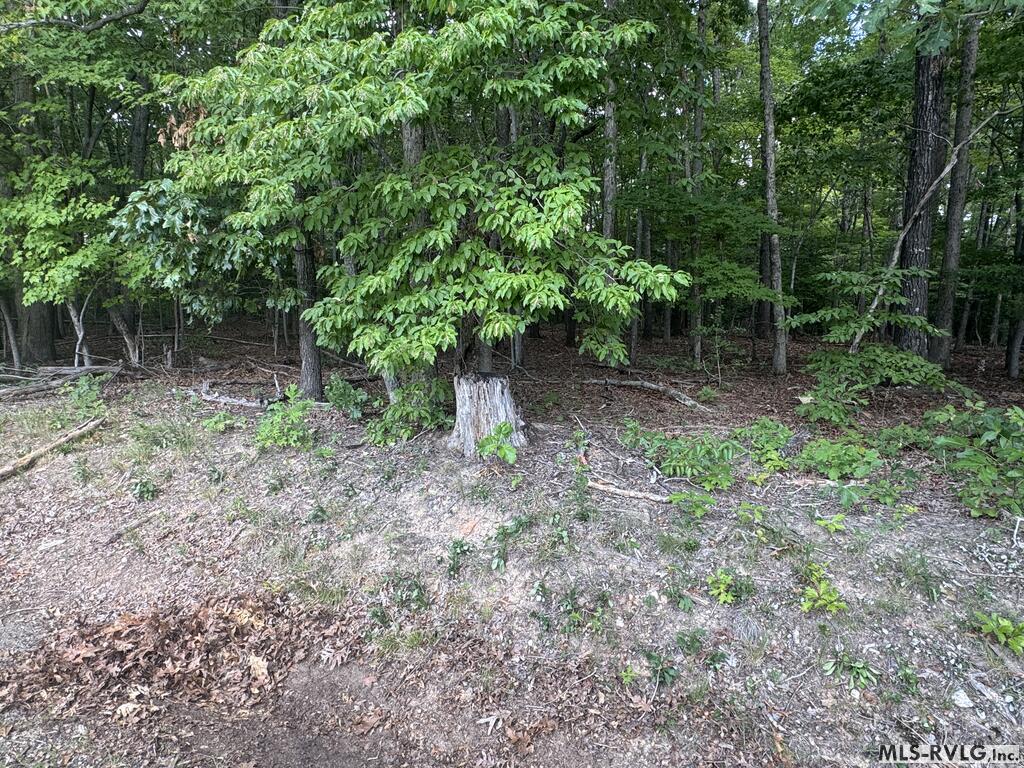Lot 1d Mill Creek Road Property Photo 13