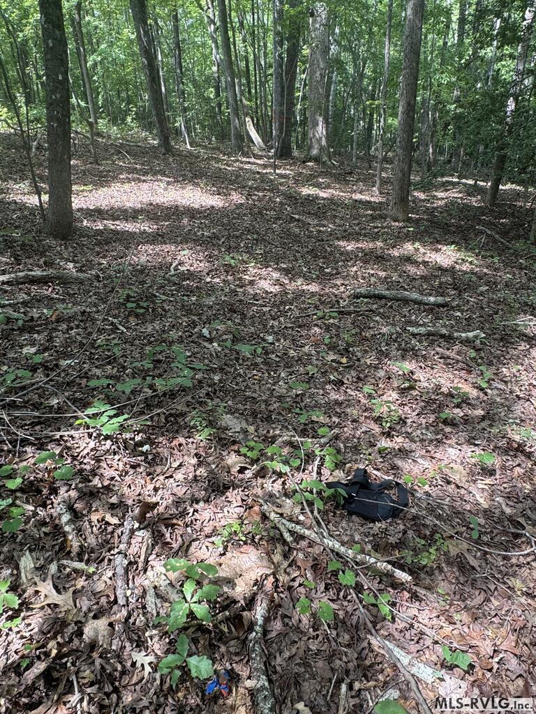Lot 1d Mill Creek Road Property Photo 14