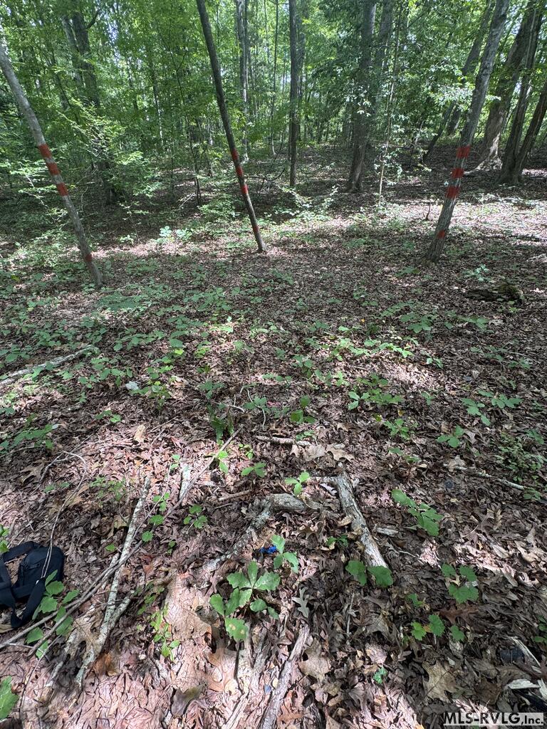Lot 1d Mill Creek Road Property Photo 16