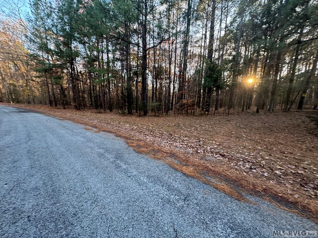 Lot 64 Windward Passage Property Photo 2