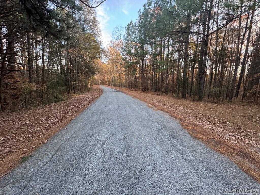 Lot 64 Windward Passage Property Photo 3