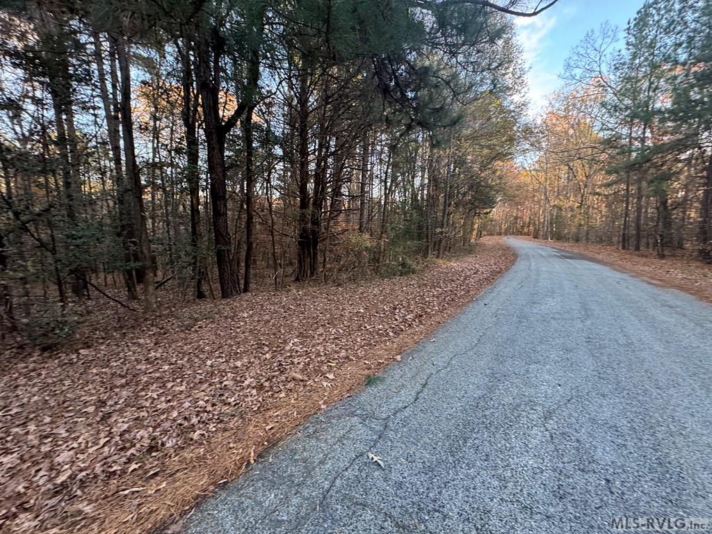 Lot 64 Windward Passage Property Photo 4