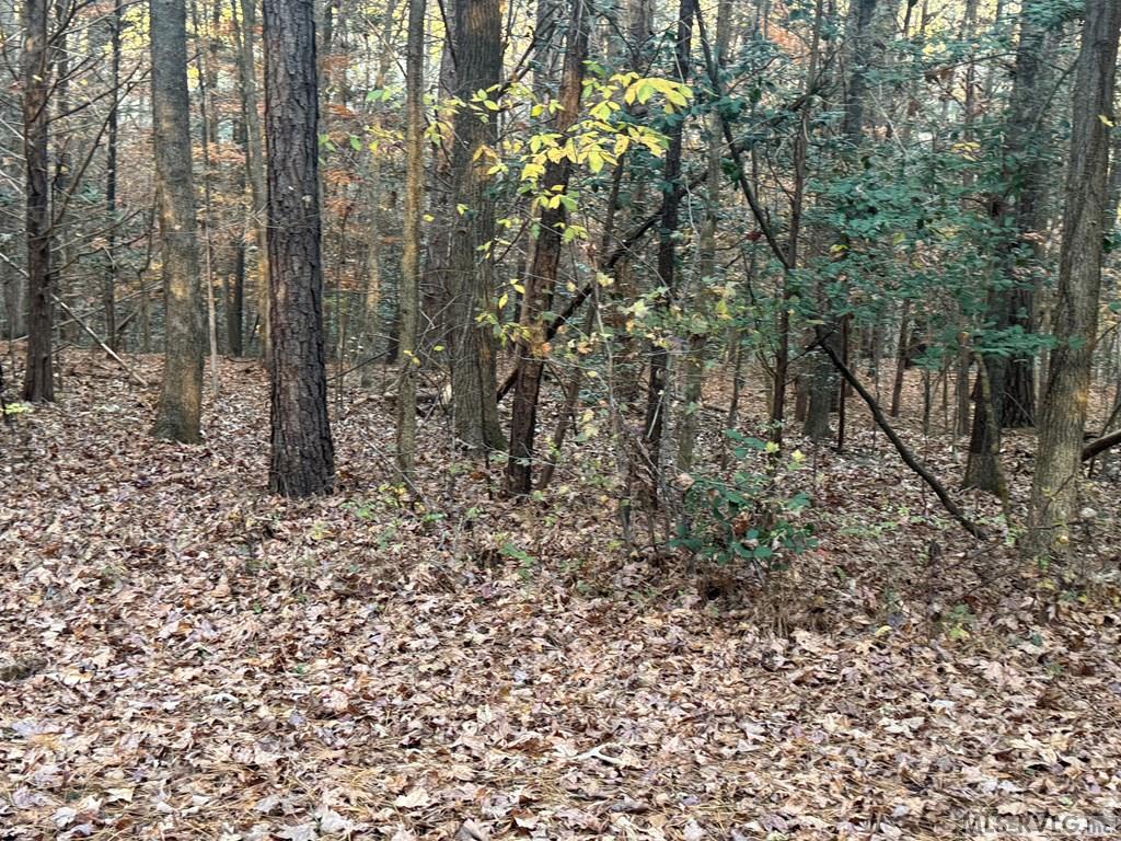 Lot 64 Windward Passage Property Photo 5