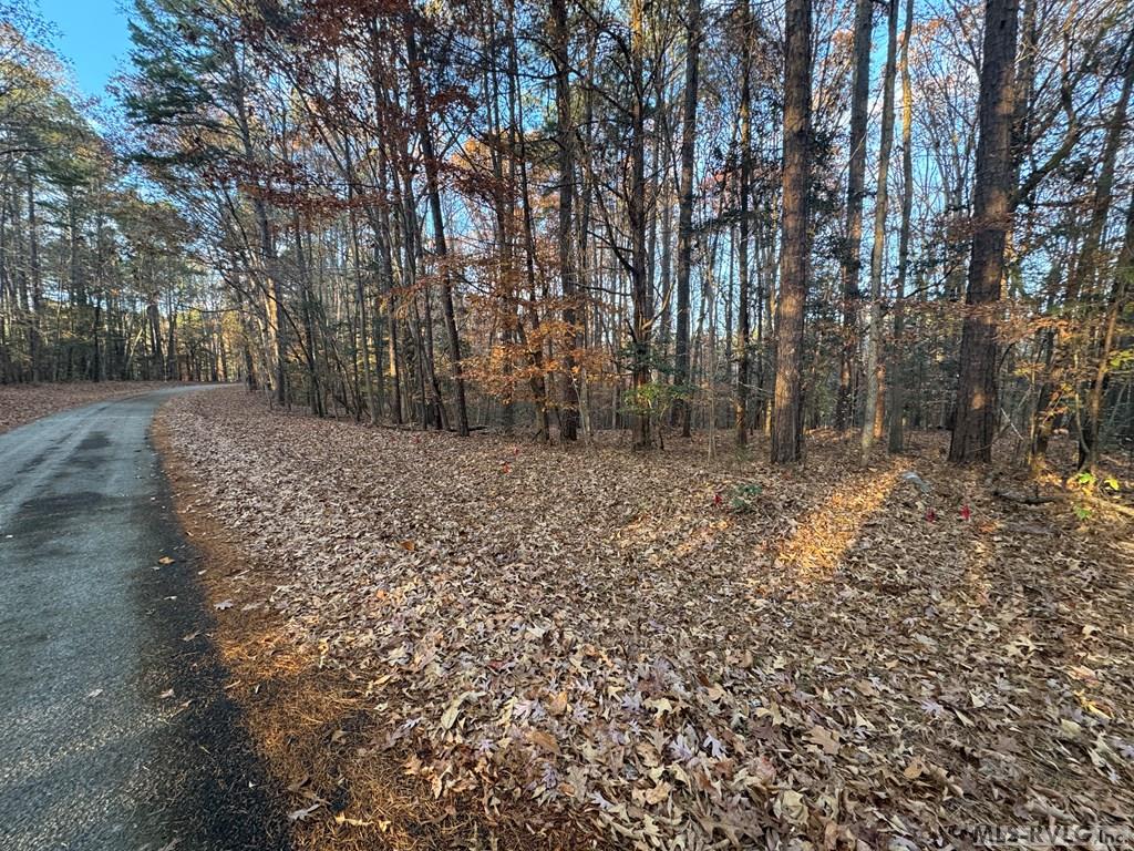 Lot 64 Windward Passage Property Photo 6