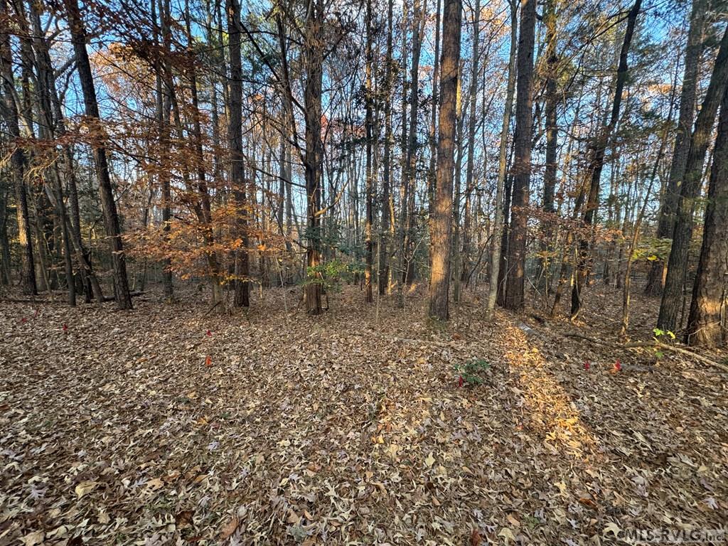 Lot 64 Windward Passage Property Photo 8