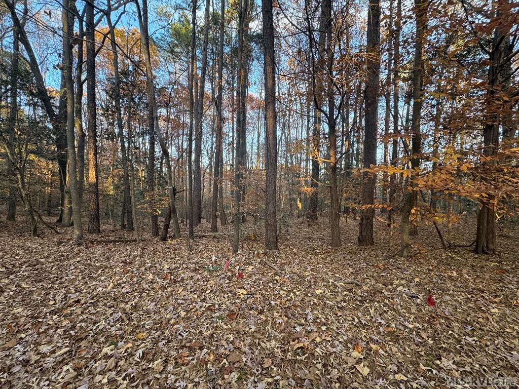Lot 64 Windward Passage Property Photo 9