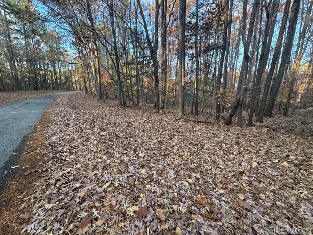 Lot 64 Windward Passage Property Photo 10