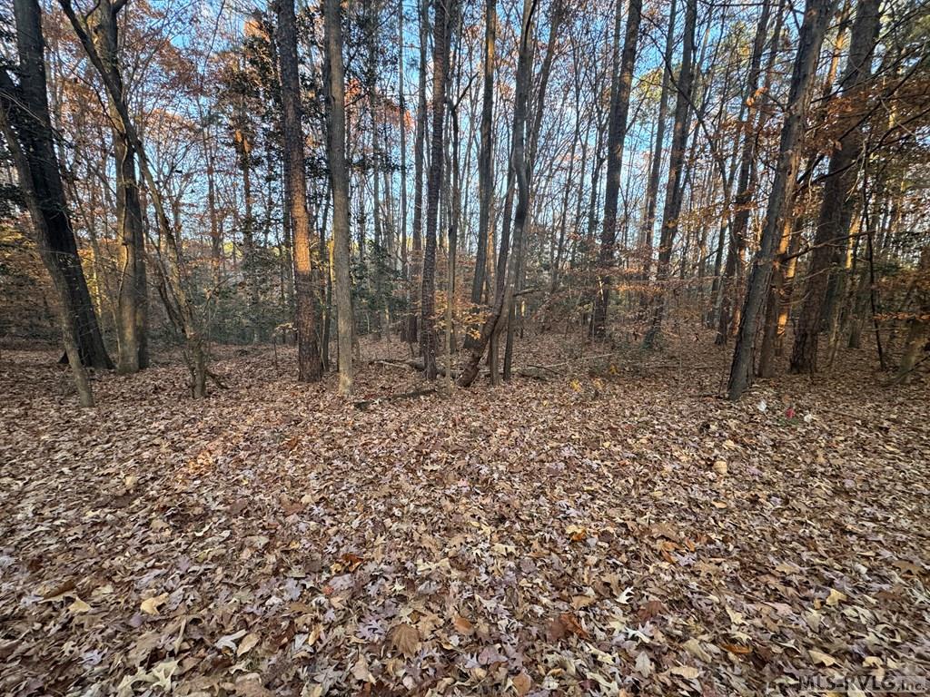 Lot 64 Windward Passage Property Photo 11