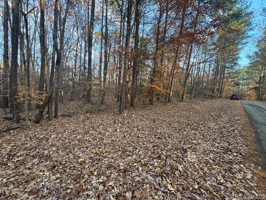 Lot 64 Windward Passage Property Photo 12