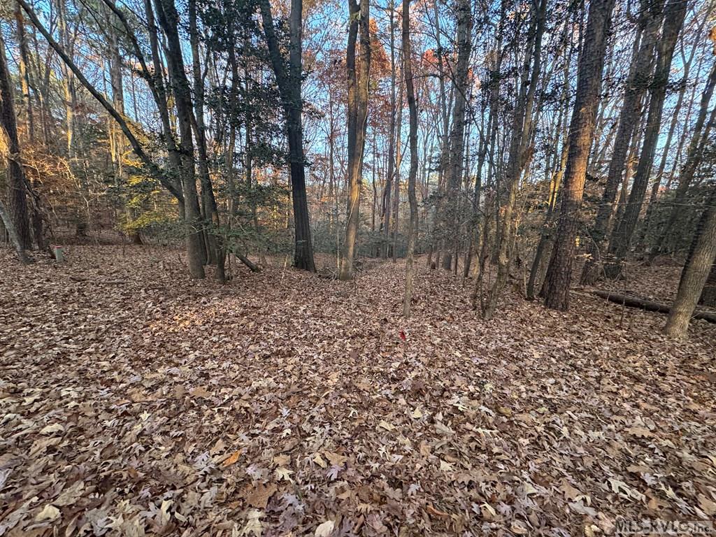 Lot 64 Windward Passage Property Photo 13
