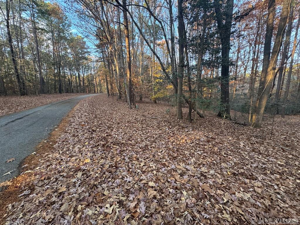 Lot 64 Windward Passage Property Photo 14