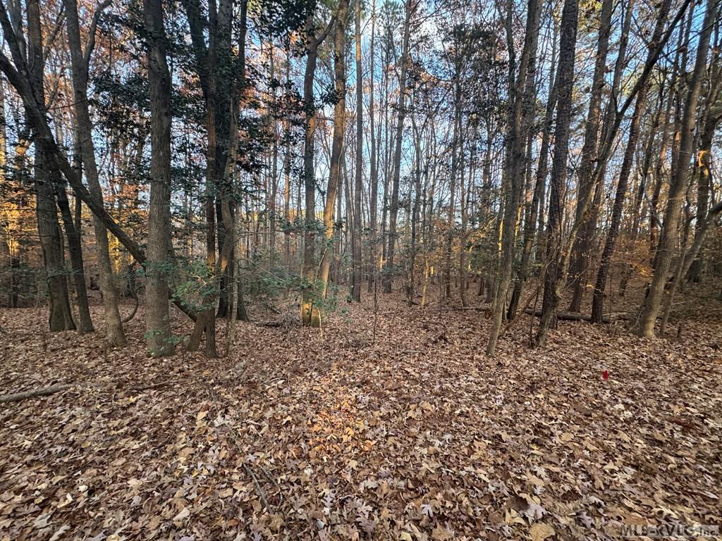 Lot 64 Windward Passage Property Photo 15