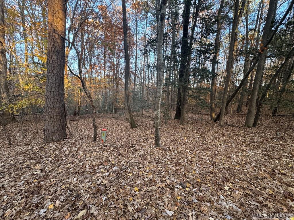 Lot 64 Windward Passage Property Photo 16