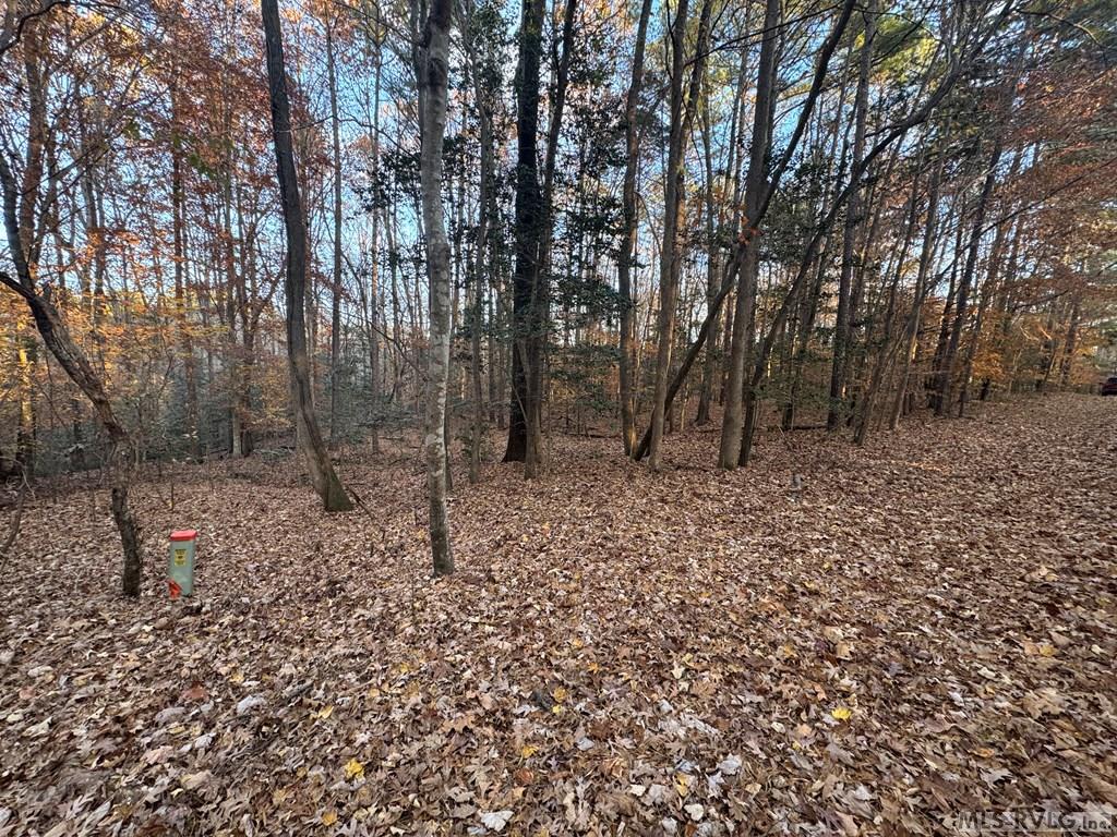 Lot 64 Windward Passage Property Photo 17
