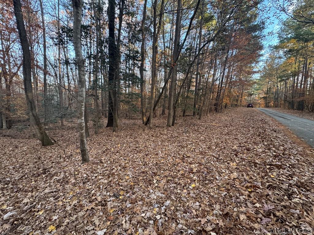 Lot 64 Windward Passage Property Photo 18