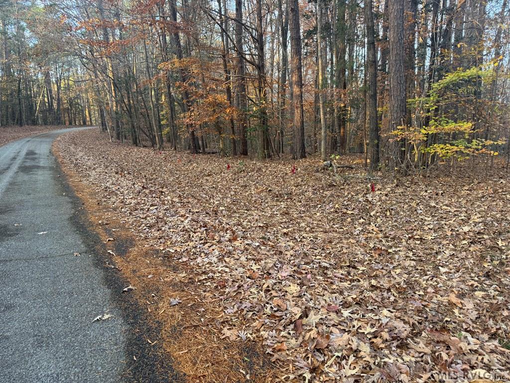 Lot 64 Windward Passage Property Photo 19