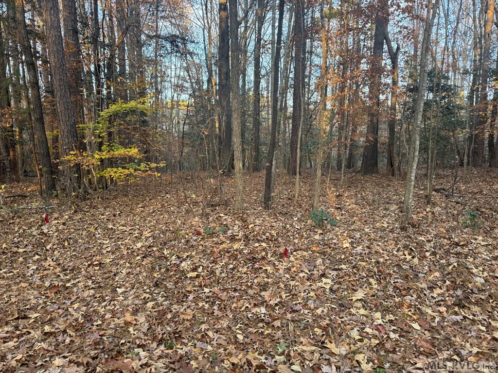 Lot 64 Windward Passage Property Photo 20