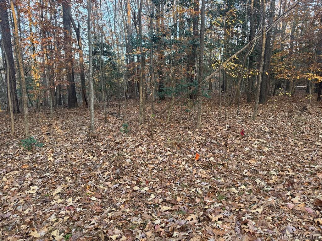 Lot 64 Windward Passage Property Photo 21